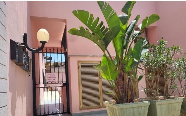 Cico Appartamento San Vito Lo Capo Ngoại thất bức ảnh
